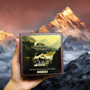 Shilajit Resin 20g
