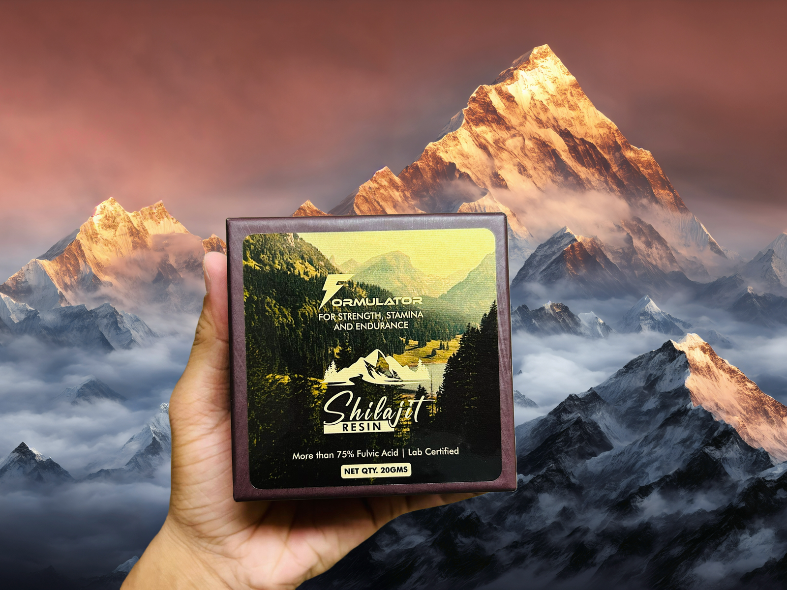 Shilajit Resin 20g